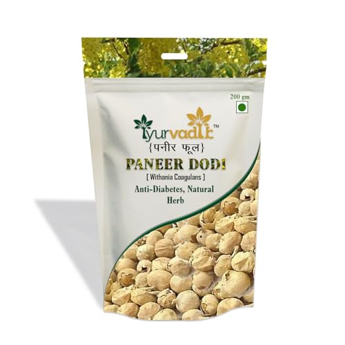 Image of Paneer Phool | Blood Sugar Management Herb | Paneer Doda | Paneer Dodi | Withania Coagulans | Pure and Natural | So Bitter | Authentic -200gm x pack of 3