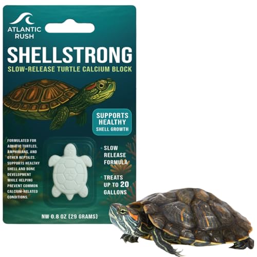 Shellstrong Premium Calcium Block for Aquatic Turtle - Slow Release Water Tank Conditioner - Cuttlebone for Aquarium - Turtle Tank Accessories - 20 Gallon Aquatic Treatment (1 Calcium Block)