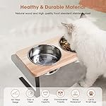 Elevated Cat Bowls, 15° Tilted Raised Cat Food Bowls Wood Pet Bowls with Stand Anti Vomiting 2 Stainless Steel Bowls for Cats and Puppy - Image 5