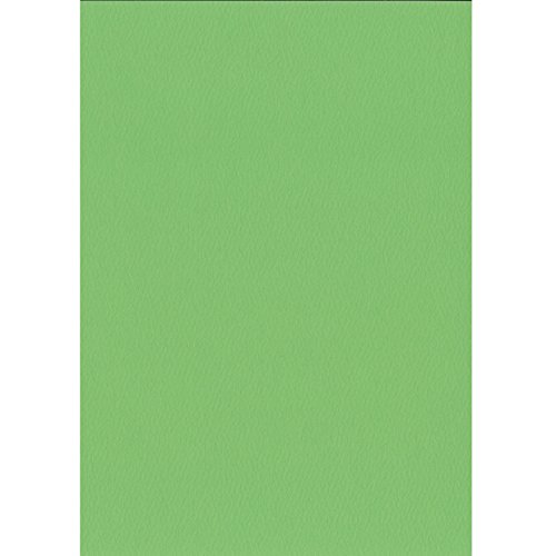 エスケント 色画用紙 スターウェーブ A4 ライトグリーン 100枚 5007812