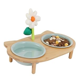 Elevated Cat Ceramic Bowls Stand, Small Dog, Anti Vomit, Tilted Feeding Position, Full Bamboo Body Stand with Decorate Flowers, Raised Food Feeding Dishes for Cats and Puppy (S-Green)