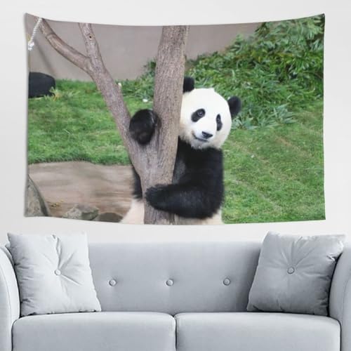 �p���_ ���l �^�y�X�g���[ �C���e���A �Ǌ|�� 152×102cm ���������^�y�X�g���[ �J�[�e�� �������� �V�z���j�� �������j�� �v���[���g