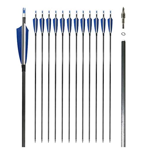 Jocoo 12Pack 30-inch Carbon Arrow with 4" Turkey Feathers, Hunting/Targeting Arrow for Compound Recurve Longbow (Blue)