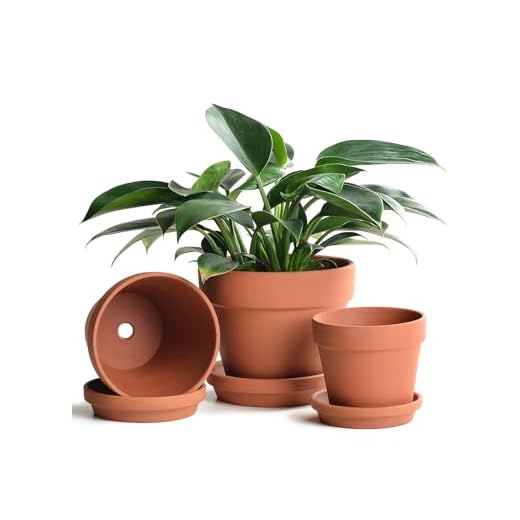 25+ Inspiring Mediterranean Backyard Ideas for Your Outdoor Oasis 2 INGOFIN Terracotta Pots Set with Saucer - 5/6/7 inch Ceramic Clay Planters with Drainage Hole, Garden Flower Succulent Pots with Tray for Indoor Outdoor Plants, Set of 3