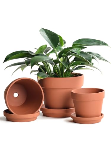INGOFIN Terracotta Pots Set with Saucer - 5/6/7 inch Ceramic Clay Planters with Drainage Hole, Garden Flower Succulent Pots with Tray for Indoor Outdoor Plants, Set of 3