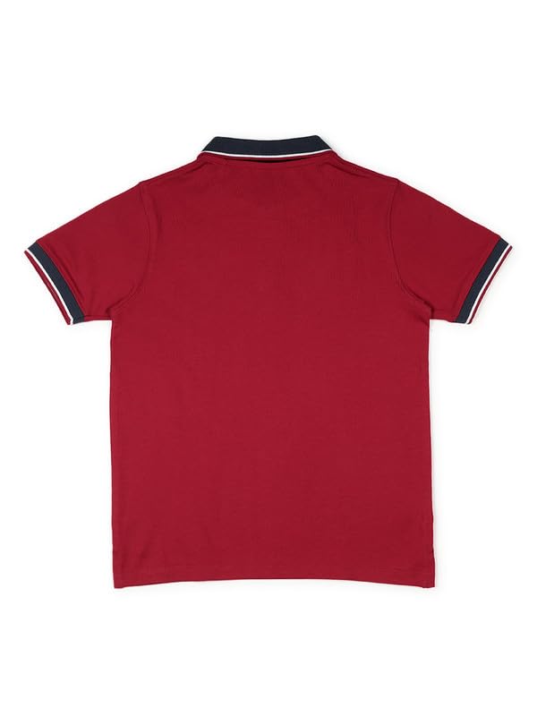 Image of Aventura Boys Polo T-Shirt Combo Pack of 2 - 100% Cotton Half Sleeve Collar T-Shirts for Boys (Age 5-12 Years)