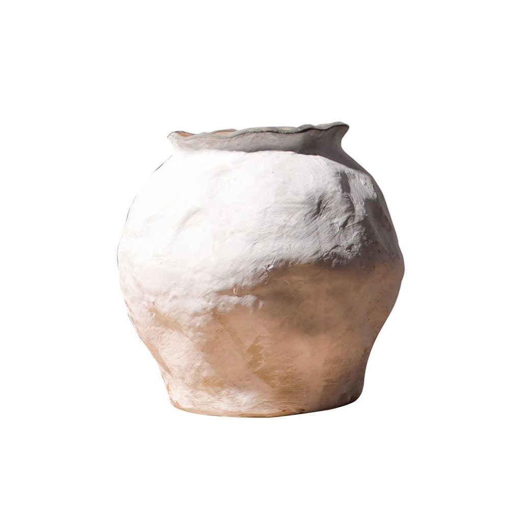 EINES Ceramic Vase Home Ornaments Chinese Style Living Room Flower Arrangement TV Cabinet Hydroponic Device(A)
