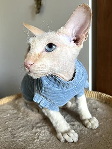Kotomoda Cat's T-shirt Corduroy for Sphynx and naked cats (Medium, Blue), Corduroy Blue