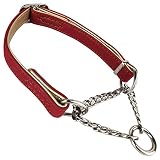 El collar del perro proporciona indicaciones y comentarios para reducir el tirón y mejorar el entrenamiento del perro.