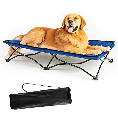 The 12 Best Folding Dog Beds of 2022