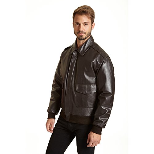 Image of Men's Big and Tall Leather Flight Jacket