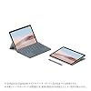Microsoft Surface Go 2 Surface Go 2 Office Home and Business 2019 / 10.5 inch PixelSense Display / Intel Pentium Gold 4425Y/8GB/128GB Platinum STQ-00012
