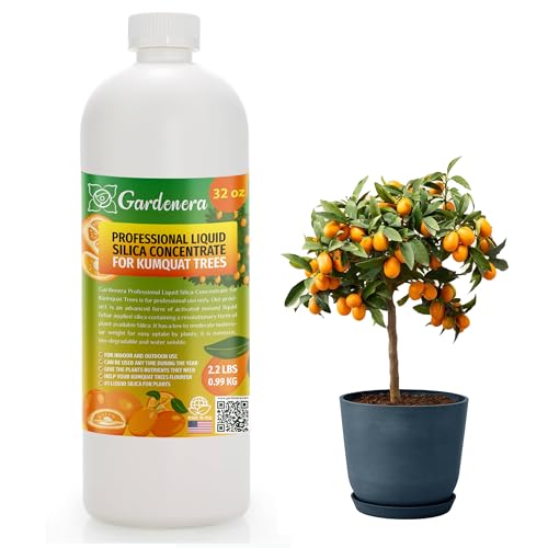 𝐏𝐑𝐎𝐅𝐄𝐒𝐒𝐈𝐎𝐍𝐀𝐋 Liquid Silica Plant Supplement - 32oz - Kumquat Trees