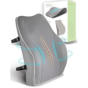 Travel Ease Ergonomic Lumbar Support Cushion, Memory Foam Back Support Cushion for Office Chairs with Skin-friendly Cover for Comfort (Grey)