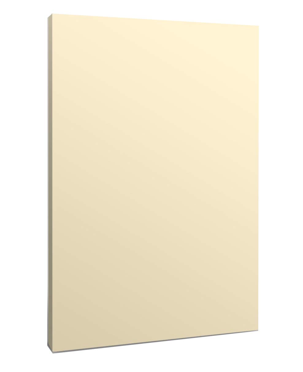 DEBRA DALE DESIGNS Unruled Blank Memo Note Pads - Made RIGHT in the USA - Cream Bond Paper - 13 Pads of 50 Sheets - Standard Letter Size - 8.5" x 11" - Perfect Size to Record Your Big Ideas