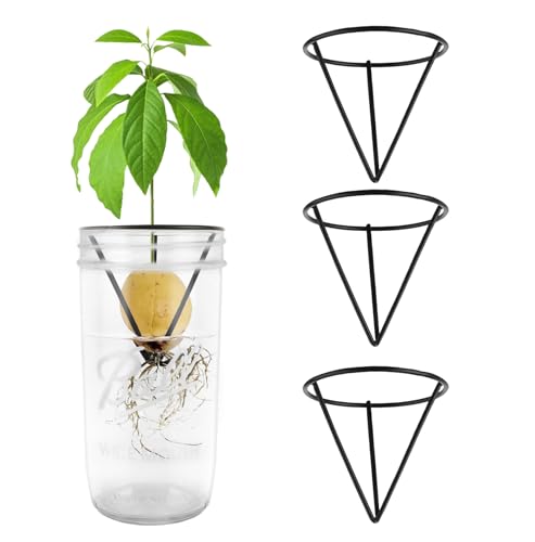 Plus tard 4Pcs Avocado Seed Starter Rack for Mason Jar of Wide-Mouth, Avocado Seed Holder Triangular Metal Bracket for Family Friends and Gardening Enthusiasts