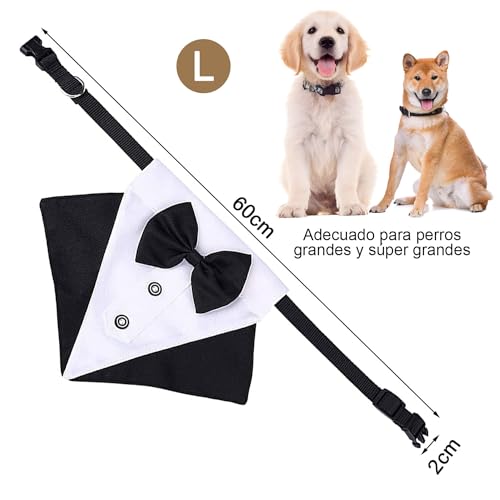 Juguetes Para Perro, Toy Imagen adicional