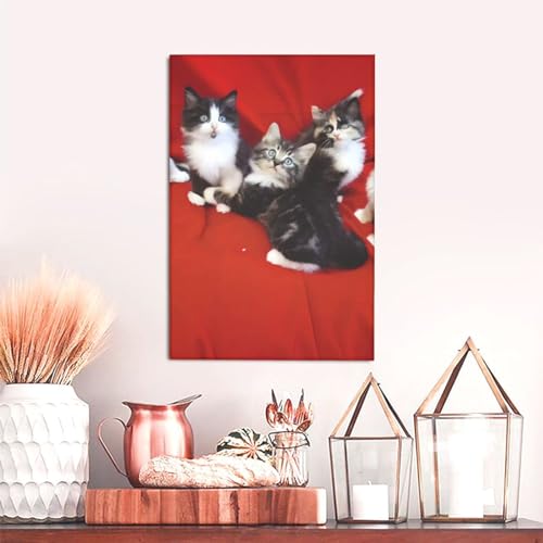 Toile murale de chat mignon pour décorer votre salon cocooning et chambre moderne de 30x45 cm - 6