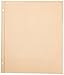 Pioneer 11-Inch-by-14-Inch, Postbound Refill Pages, 25 Per Package
