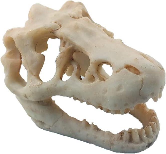 MTGHYAYA Aquarium Decoration Mini Dinosaur Skull Aquarium Betta Fish Ornament Freshwater Small Dinosaur Skull Fish Tank Landscape with Holes Aquarium Hideout Caves