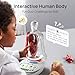 Science Can Human Body Model for Kids, Interactive Human Anatomy Talking Model - 11 Inch Realistic Anatomical Assembly Kit, 15PCS Removable Parts & Guide, Educational STEM Toys Gifts for Kids Aged 6+