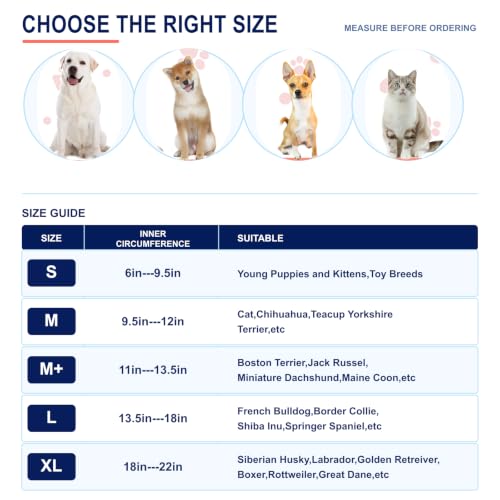 Image of Inflatable Dog Cone Collar for Large Medium Small Dogs, Soft Dog Donut Collar Adjustable Recovery Cone for Pets After Surgery, Extra Enhanced Anti-Licking Guard Shield (Dinosaur, Large)