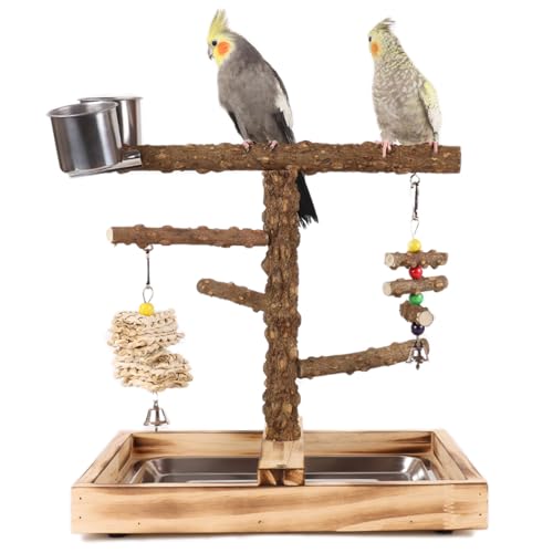 WishesMar Bird Playground Parrot Play Stand with Feeder Cup Climb Ladder and Tray Budgie Playground Cage Exercise Gym Toys for Parakeets Cockatiel Wooden