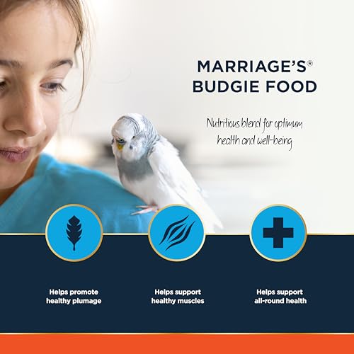 Marriages - Budgie Food, Budgie Seed and Bird Food with Red Millet, Yellow Millet, Wholesome, Bird Seed Packed with Fibre and Protein (1kg) - Image 4