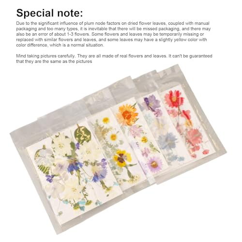 5 bolsas de flores prensadas secas para manualidades miniatura 5