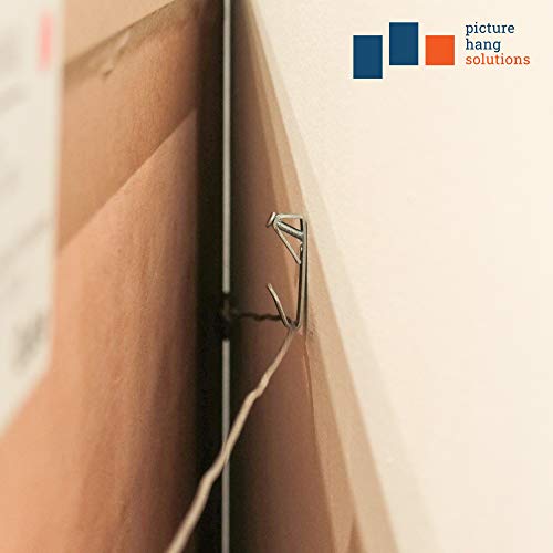 Image of PHS Heavy Duty Picture Hangers with Nails - Supports up to 30 lbs - 100 Pack Professional Picture Frame Hooks for Hanging - Easy to Install Mirror Hooks for Wall Mounting