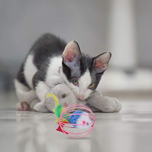 Balacoo 5 peças de brinquedos de pelúcia para gatos, brinquedo de brinquedo de brinquedo de gato fal