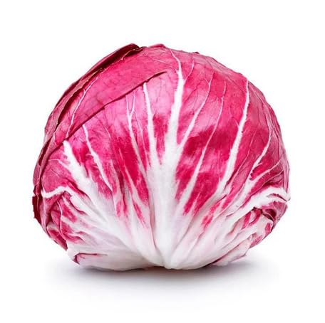 100pcs Red Radicchio Vegetable Seeds