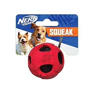 Nerf Dog Bash Rubber Wrapped Tennis Ball Dog Toy, Lightweight, Durable and Water Resistant, 2 Inches, for Small/Medium Breeds, Single Unit, Red Nerf Dog Bash Rubber Wrapped Tennis Ball Dog Toy Lightweight Durable and Water Resistant 2 Inches for SmallMedium Breeds Single Unit Red