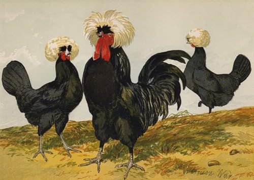 Tableaux Posters Impression Toile Harrison William Weir 60x90cm Déco