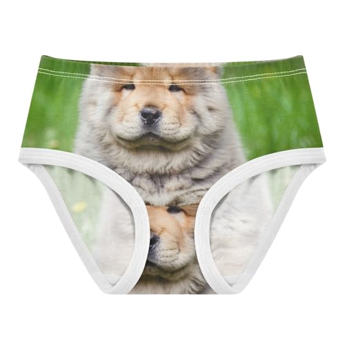 Chow Puppy Dog Grass Panties for Girl Toddler Girls Underwear Cotton Stylish Briefs Girls Undies 2t