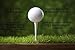 50-Count White Golf Tees with Personalized 2 3/4