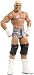WWE Basic Figure Series Dolph Ziggler Figure