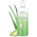 Babo Botanicals Swim and Sport Shampoo and Wash Cucumber Aloe, 16 Ounce