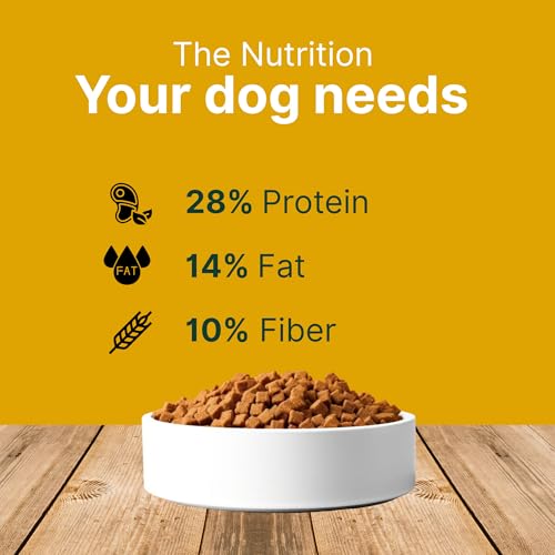 Image of Vegan Dog Food | Offers Plant-Based Protein, Complete & Balanced Nutrition Dry Dog Food for Adult & Puppy Dogs | Rich in Fiber and Improve Gut Health (Puppy Food 1kg)