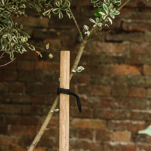 Indigo Round Tree Stake 150cm (1.5m / 59) Heavy Duty Wooden Garden Stake for Tree Support & Plant Stabilising