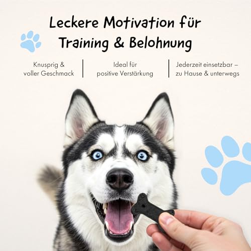 Belly® Natürliche Kohletabletten Hund - Aktivkohle Tabletten, Zum Aufbau von Darmbakterien & Darmflora - mit Antioxidantien, Vitaminen und Mineralien, vegan (120g)