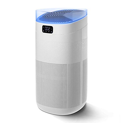Compass Home Smart Air Purifier - H13 Hepa Filter 3-Stage Air Filtration For Allergies, Pollen, Dust, Odors, Smoke, Pet Dander, Bacteria With Auto Air Sensor And Sleep Mode For Large Room Air Purifier #TOP26