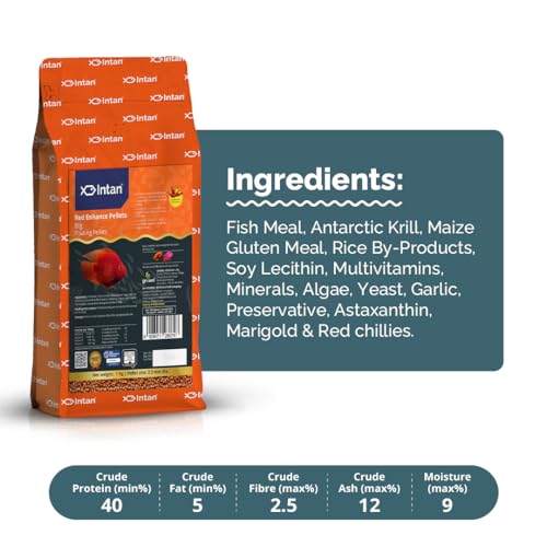 Image of Intan Red Enhance Pellets (Big 2.5mm Floating) | 1Kg - Highly Nutritious Ornamental Fish Food for Parrotfish & Red Coloured Fish | Growel Feeds