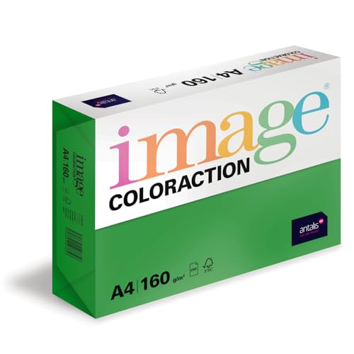 Image Coloraction Dublin - farbiges Kopierpapier - DIN A4, 210 x 297 mm, 160 g/m² - buntes, holzfreies Druckerpapier für Kopierer - 250 Blatt - Dunkelgrün