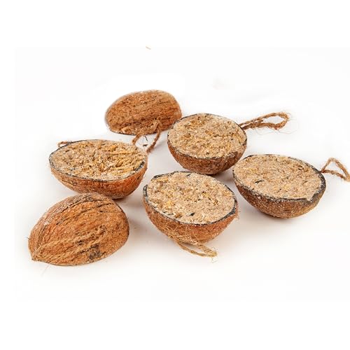 Premium Mealworm Coconut Halves, Wild Bird Food, 2.5L - Image 3