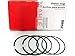 Perfect Circle 40843CP.030 Premium Piston Rings