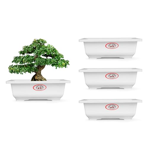 Plastic White Rectangle Bonsai Tray (9 inch, 4 Pcs) Planters Home...