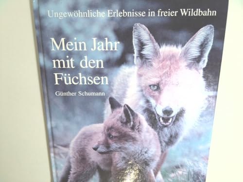 Mein Jahr mit den Füchsen