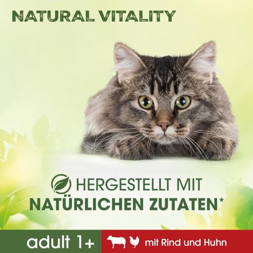 Perfect Fit Natural Vitality Adult 1+ – Trockenfutter für erwachsene Katzen ab 1 Jahr – Rind & Huhn – Unterstützt die Vitalität – 6 kg