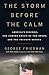 The Storm Before the Calm: America's Discord, the Coming Crisis of the 2020s, and the Triumph Beyond